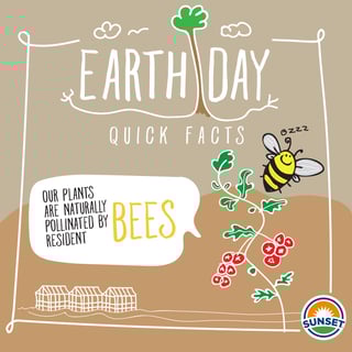 EarthDay-Bees.jpg EarthDay-Bees.jpg